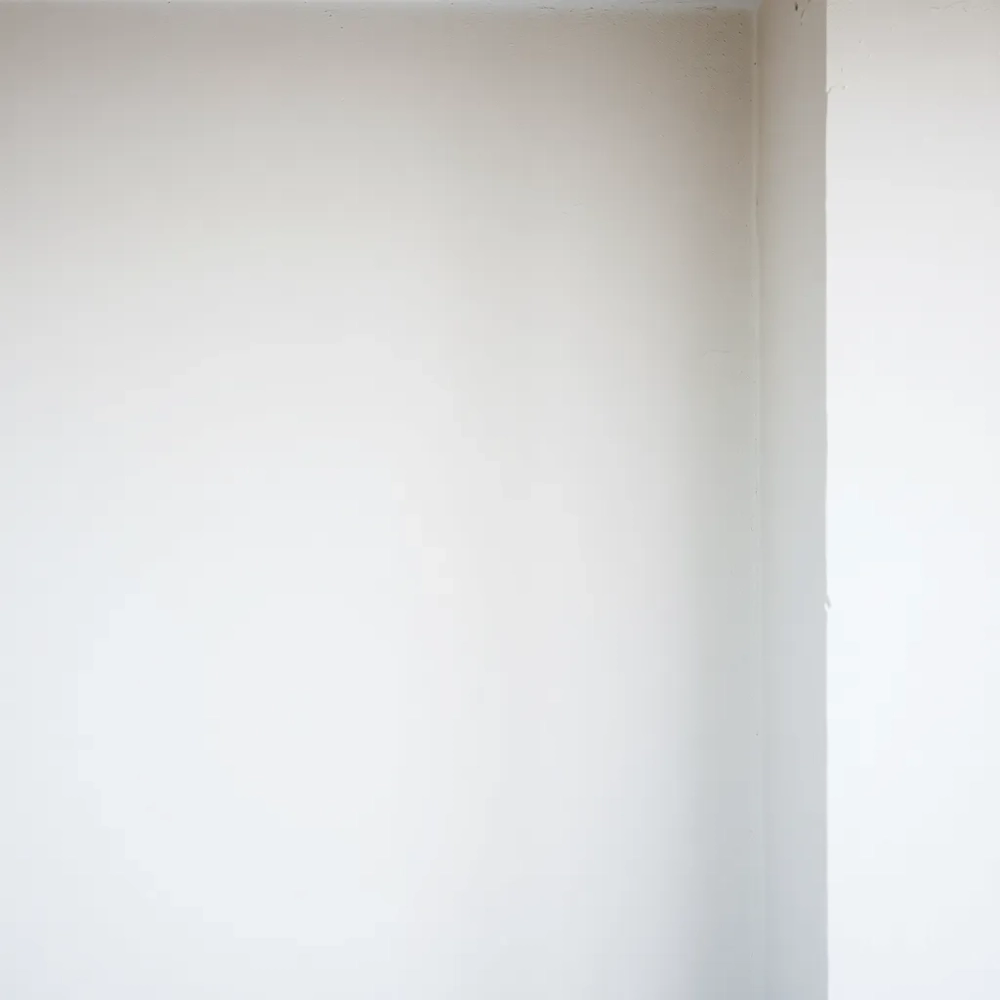 Farba biała do garażu na ściany