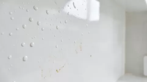 biała farba ceramiczna