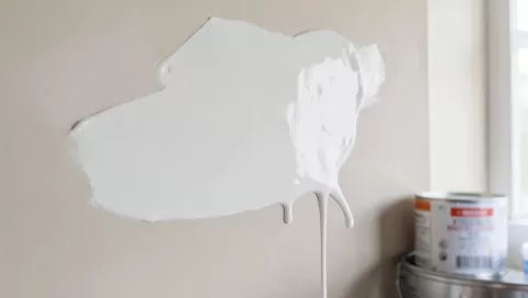 biała lateksowa farba do wnętrz