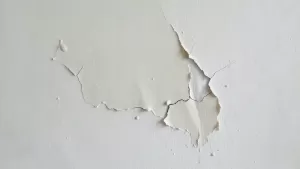 CERPLAST na farbę olejną