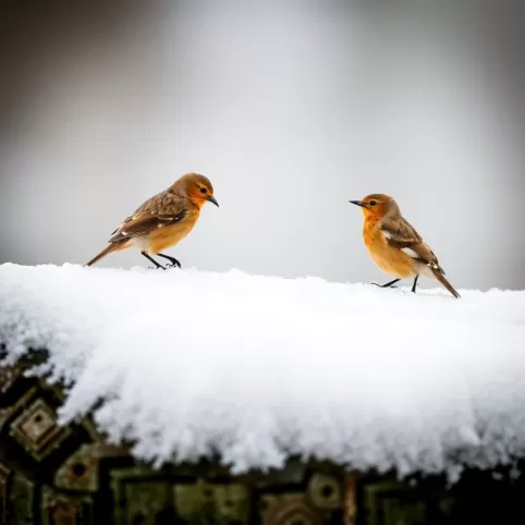 Co zrobić żeby zwykły lakier do paznokci nie odpryskiwał