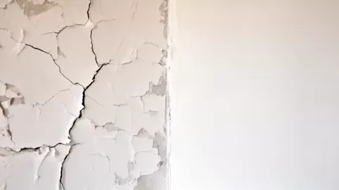 czy gladz trzeba gruntowac