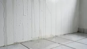 czy mozna gruntowac mokra sciane