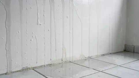 czy mozna gruntowac mokra sciane