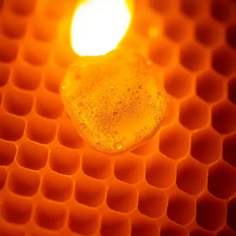 Czy można jeść wosk pszczeli