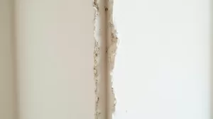 Czy płyty gk trzeba gruntować przed szpachlowaniem