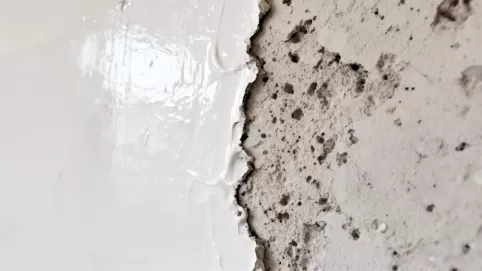 czy przed gipsowaniem trzeba gruntować