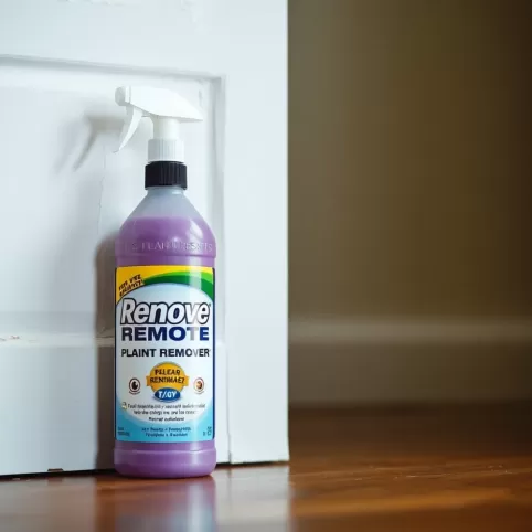 Czym zmyć farbę lateksową z drzwi