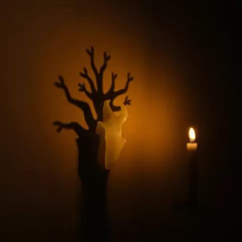 Drzewo z wosku znaczenie