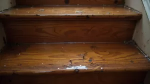 Farba do schodów drewnianych szybkoschnąca