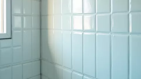 farba lateksowa pod prysznic