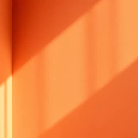 Farba olejna matowa do ścian