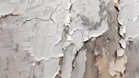 Farba wodną na olejną