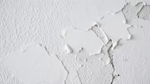 grunt pod farby lateksowe