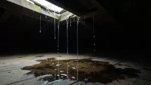 hydroizolacja nieszczelnego dachu