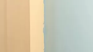 jaka farba do paneli ściennych