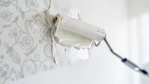 klejenie tapety na farbę lateksową