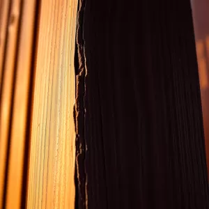 Lakierobejca do drewna na zewnątrz kolory