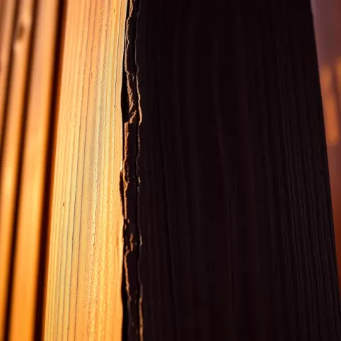 Lakierobejca do drewna na zewnątrz kolory