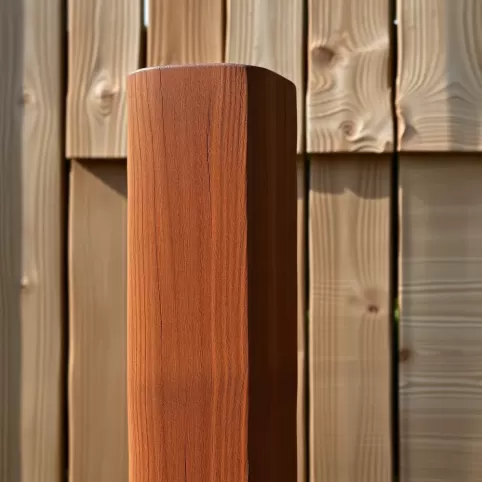 Lakierobejca na zewnątrz