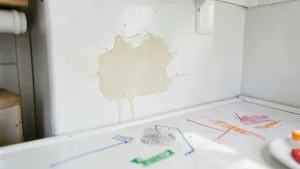 lateksowe farby plamoodporne