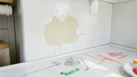 lateksowe farby plamoodporne