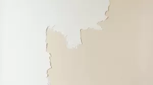 Malowanie farba akrylowa na lateksową