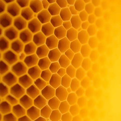 Węza z własnego wosku