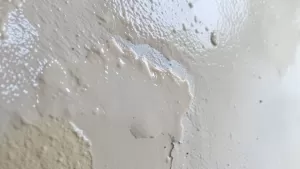 Zeszklona ściana po gruntowaniu