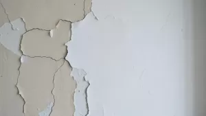 Zmiana rodzaju farby