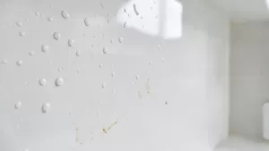 biała farba ceramiczna