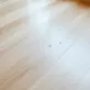 Lakier do podłogi sosnowej