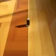 Najlepsza pasta do parkietu lakierowanego